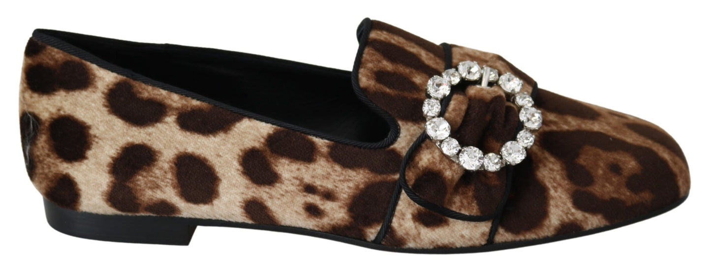 Dolce &amp; Gabbana Leopard Print Crystal Embellished Loafers