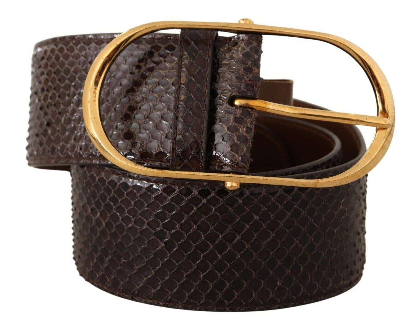 Dolce &amp; Gabbana Elegant Python Leather Belt with Gold Buckle