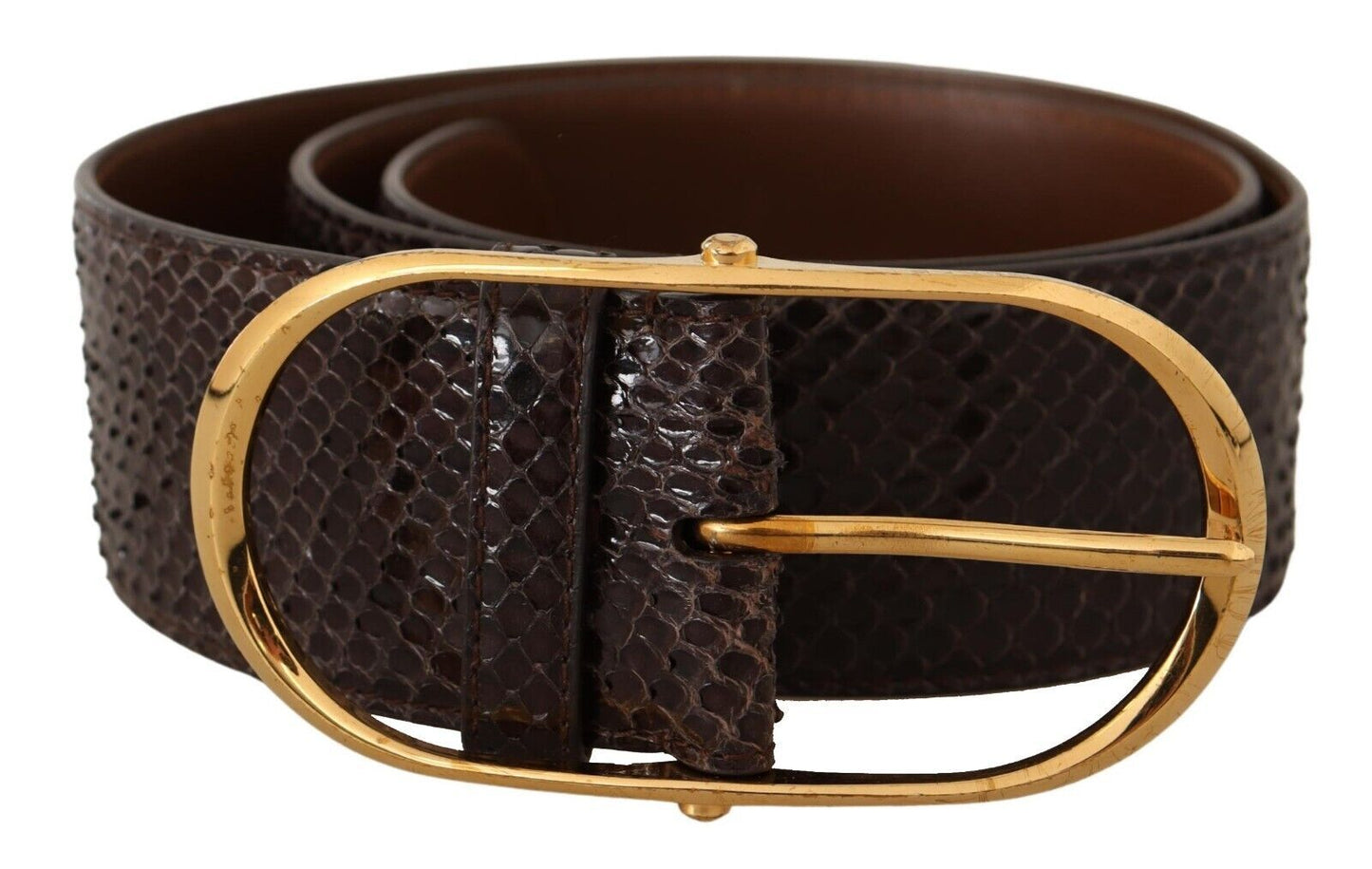 Dolce &amp; Gabbana Elegant Python Leather Belt with Gold Buckle