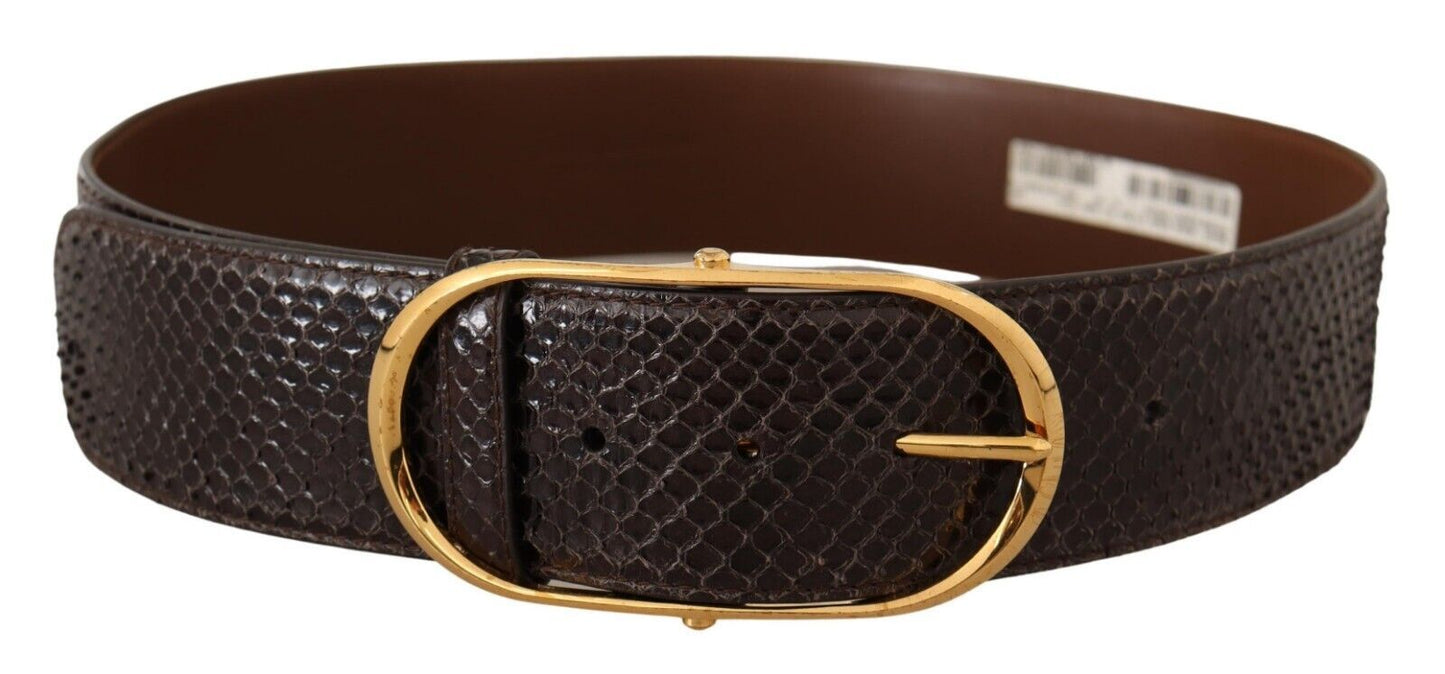 Dolce &amp; Gabbana Elegant Python Leather Belt with Gold Buckle