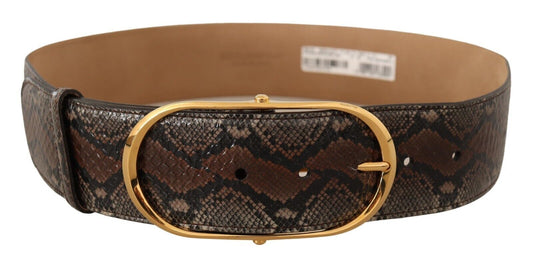 Dolce &amp; Gabbana Elegant Brown Leather Belt with Gold Buckle