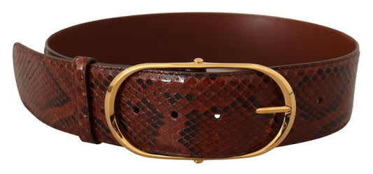 Dolce &amp; Gabbana Elegant Python Snake Skin Leather Belt