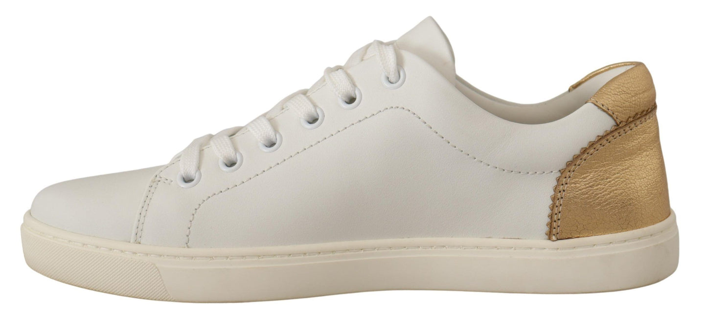 Dolce &amp; Gabbana Elegant White Leather Sneakers with Gold Accents