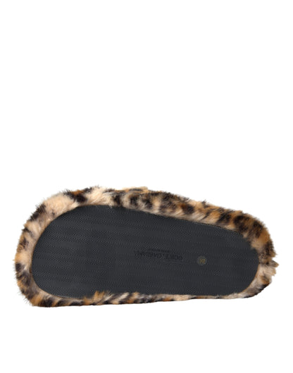 Dolce &amp; Gabbana Brown Tiger Slippers Flats Sandals Shoes