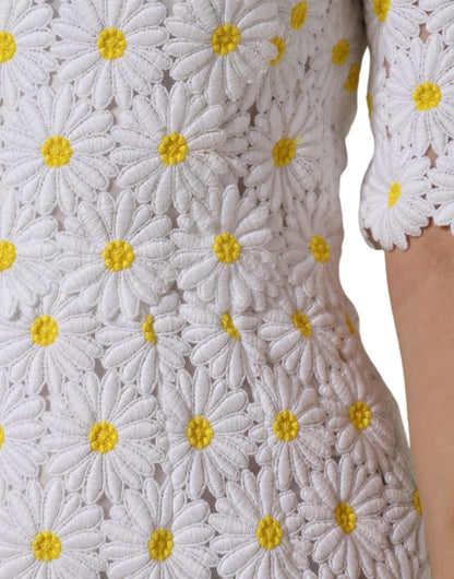 Dolce & Gabbana White Daisy Macrame Lace Sheath Midi Dress